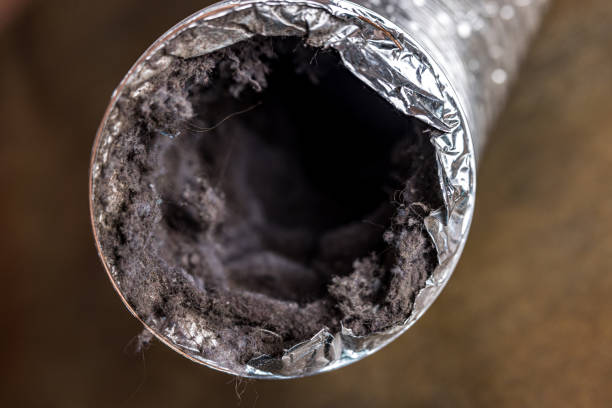 Best Emergency Air Duct Cleaning  in Denmark, SC