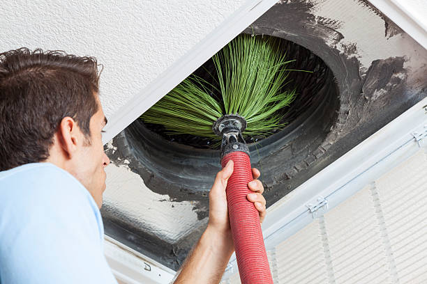 Best Ventilation Cleaning Services  in Denmark, SC
