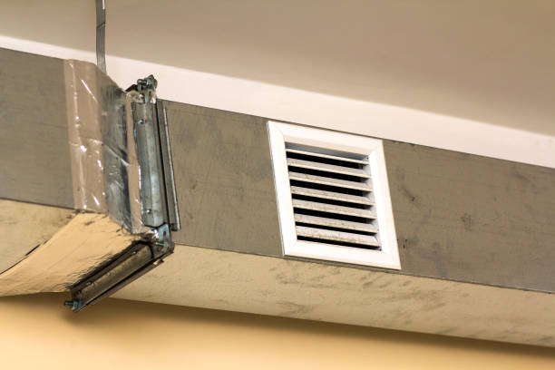 Best Affordable Duct Cleaning Services  in Denmark, SC
